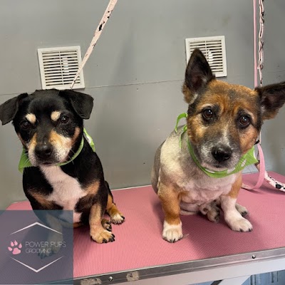 Photo associated with Power Pups Grooming