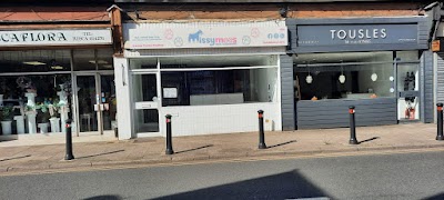 Photo associated with Missymoos Dog Grooming Risca