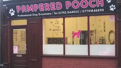 Photo associated with Pampered pooch