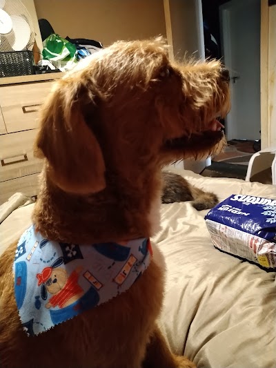Photo associated with Coco’s Groom Room