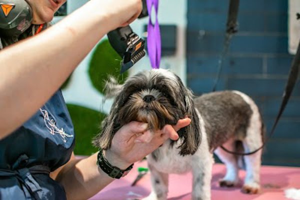 Photo associated with The Hound Ville Brighouse - Luxury Dog Grooming Spa