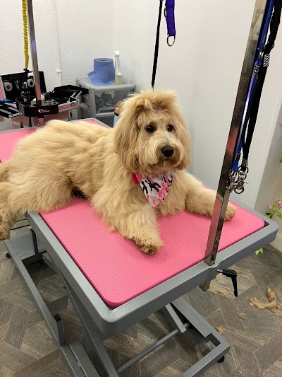 Photo associated with Pawpatrol Dog Grooming