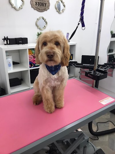 Photo associated with Pawpatrol Dog Grooming