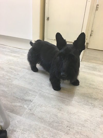 Photo associated with K9 Heaven Dog Grooming