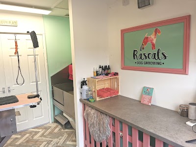 Photo associated with Rascals Dog Grooming
