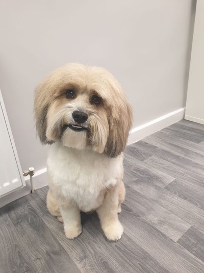 Photo associated with Bark & Bath Dog Grooming