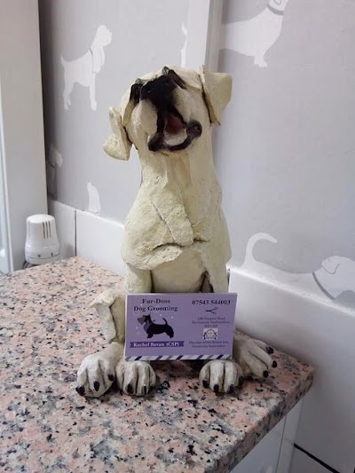 Photo associated with Fur-Doos Dog Grooming (ICMG Accredited Dog Groomers)
