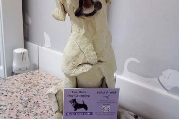 Photo associated with Fur-Doos Dog Grooming (ICMG Accredited Dog Groomers)