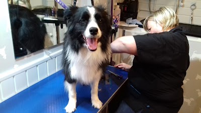 Photo associated with Fur-Doos Dog Grooming (ICMG Accredited Dog Groomers)