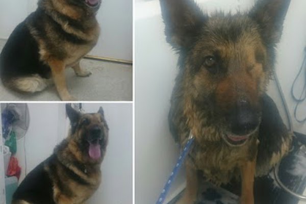 Photo associated with Woof Diamonds P. M. A.