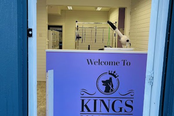 Photo associated with Kings Dog Groomers
