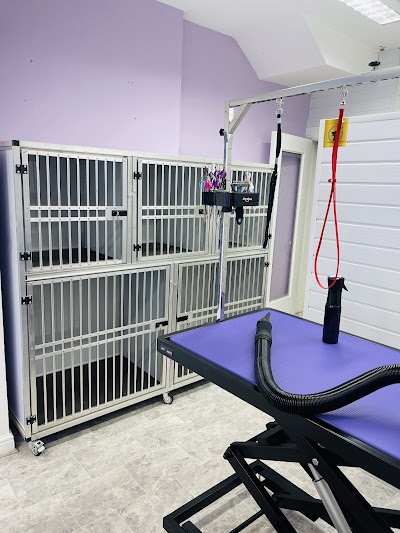 Photo associated with Kings Dog Groomers