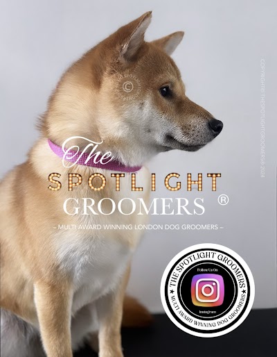Photo associated with The Spotlight Groomers - Puppy & Dog Grooming Experts London