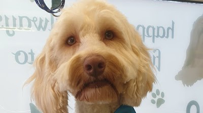 Photo associated with Groomer Has It