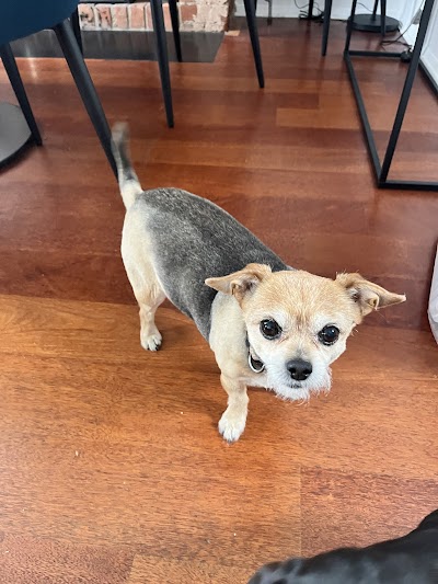 Photo associated with Koa Tails Dog Grooming & Boutique
