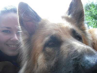 Photo associated with Dashing Dogs