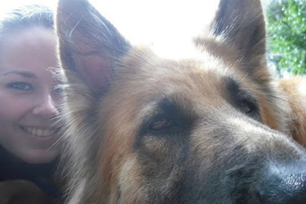 Photo associated with Dashing Dogs