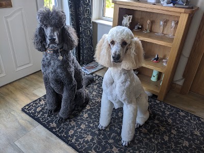 Photo associated with Gal-Groom