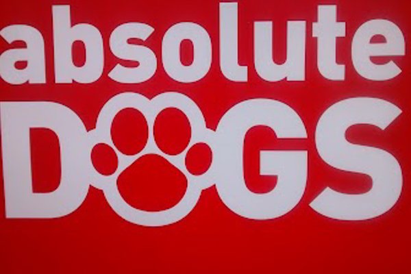 Photo associated with Absolute Dogs (Scotland) Ltd