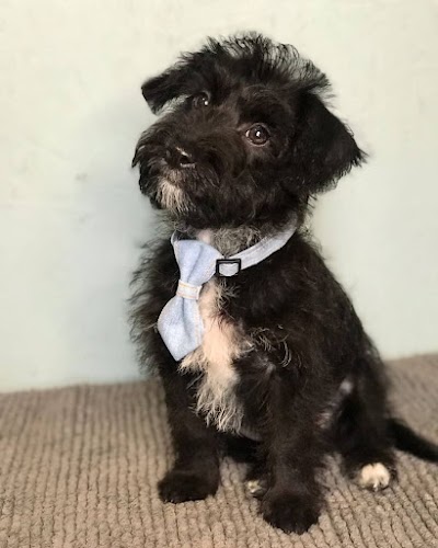 Photo associated with Grace's Grooms