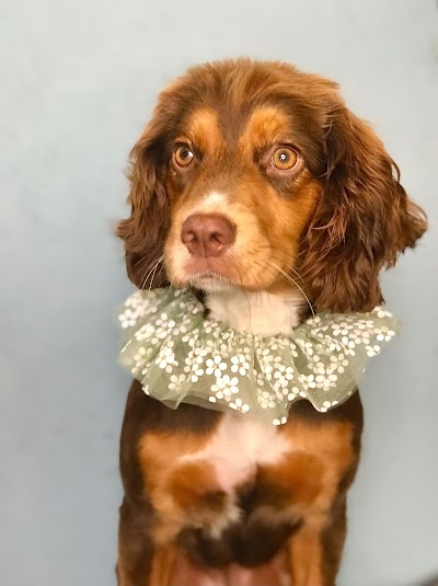 Photo associated with Grace's Grooms