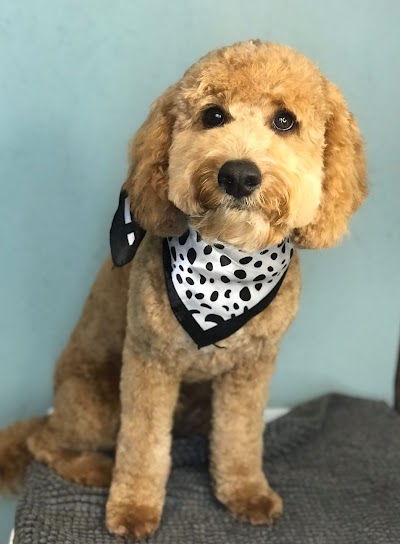Photo associated with Grace's Grooms