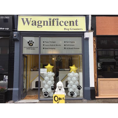 Photo associated with Wagnificent Dog Groomers