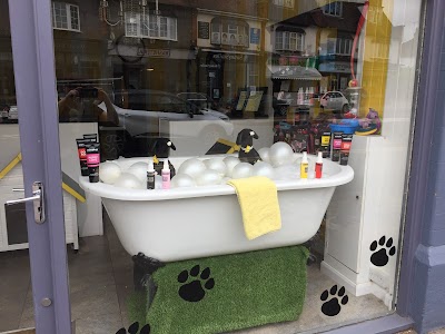 Photo associated with Wagnificent Dog Groomers