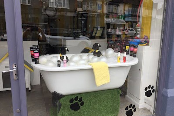 Photo associated with Wagnificent Dog Groomers