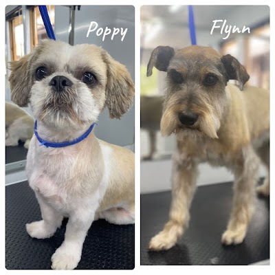 Photo associated with Glamorous Groomers