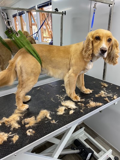 Photo associated with Glamorous Groomers
