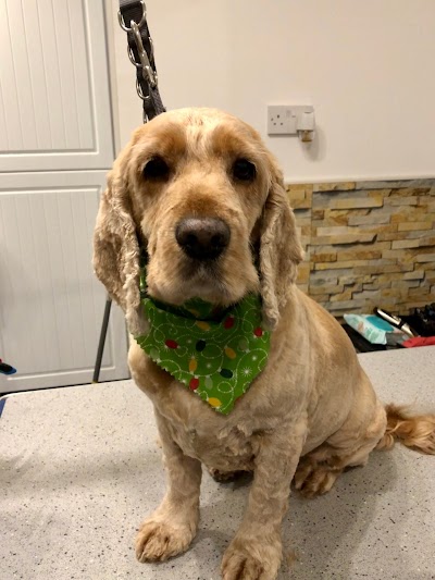 Photo associated with The Barker Shop - Dog Grooming