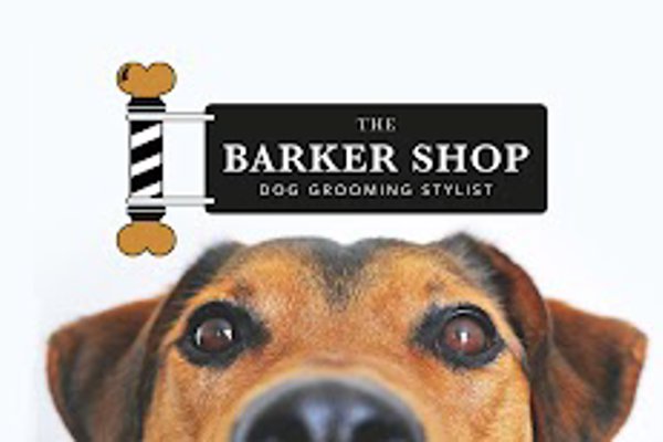 Photo associated with The Barker Shop - Dog Grooming