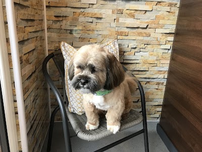 Photo associated with The Barker Shop - Dog Grooming