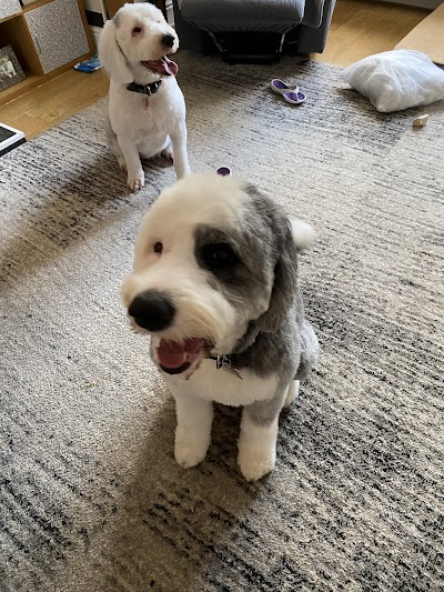 Photo associated with Furiends Dog Grooming