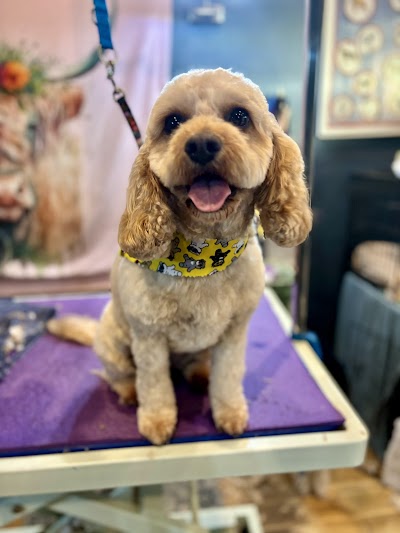 Photo associated with Dogcut