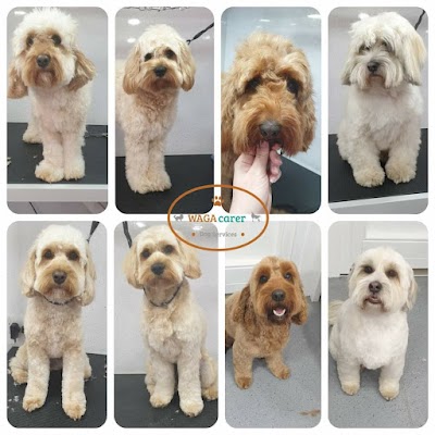 Photo associated with WAGAcarer Dog Grooming & Services