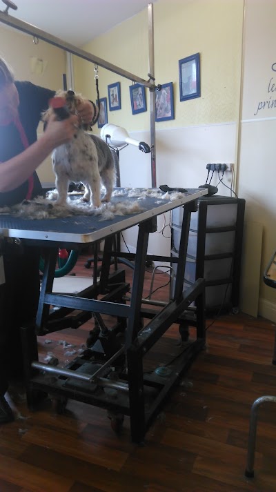 Photo associated with Mutt Hut Dog Groomers