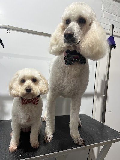 Photo associated with Pearsons Pooches