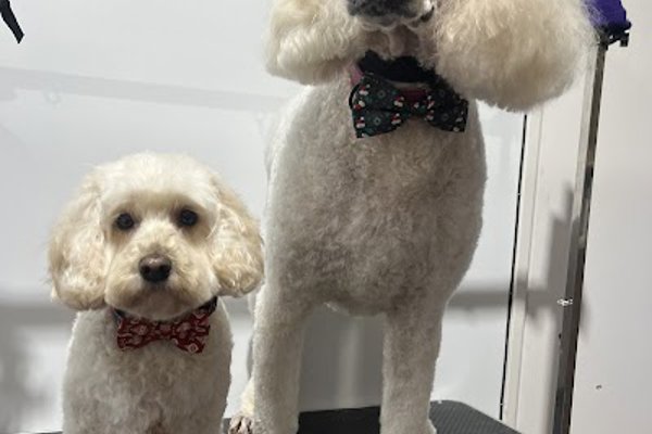 Photo associated with Pearsons Pooches