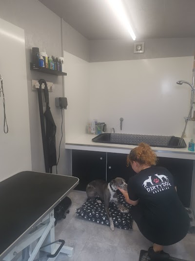 Photo associated with Dirtydogpetgrooming