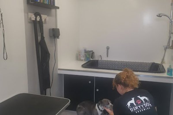 Photo associated with Dirtydogpetgrooming