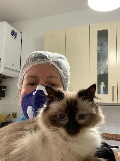 Photo associated with Purrs and Furr Cat Grooming