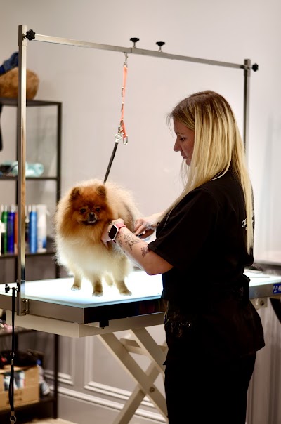 Photo associated with Groomer London