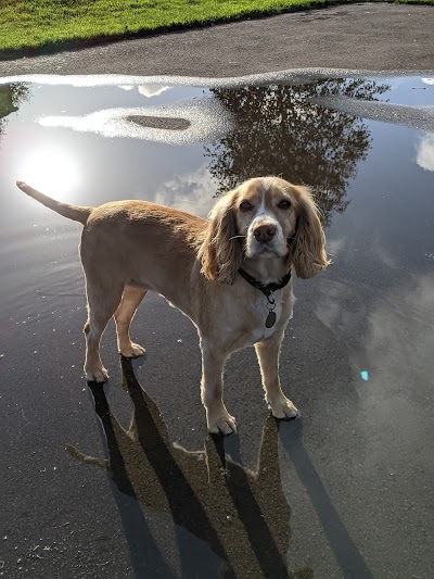 Photo associated with Beau’s Dog Grooming Salon