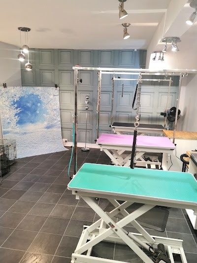 Photo associated with Oh My Dog Grooming Salon