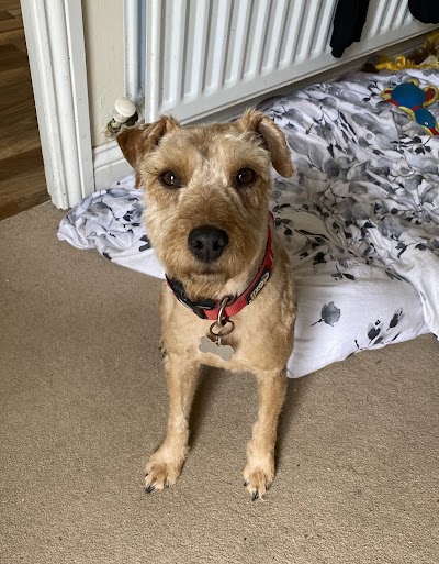 Photo associated with My Dog Barber (Blaydon)