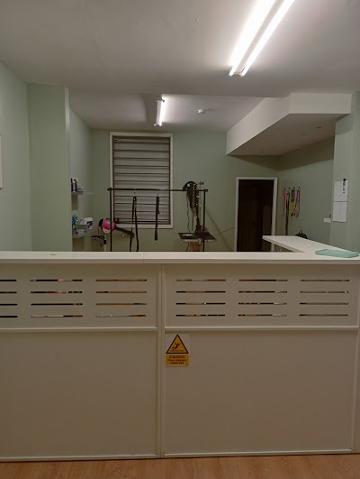 Photo associated with the dog groomers