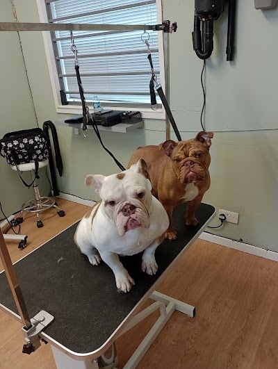 Photo associated with the dog groomers