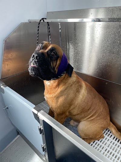 Photo associated with Valley House Dog Groomers